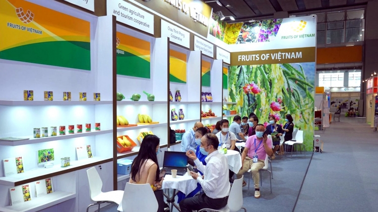 Xúc tiến thương mại linh hoạt với mô hình trực tuyến